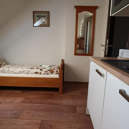 Slezsky Dum 4* Jesionik