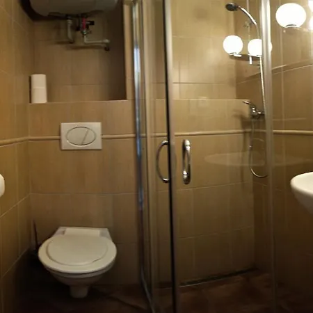 Apartmany Slezsky Dum 4*