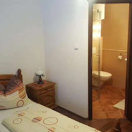 Apartmany Slezsky Dum Guest house Jesenik