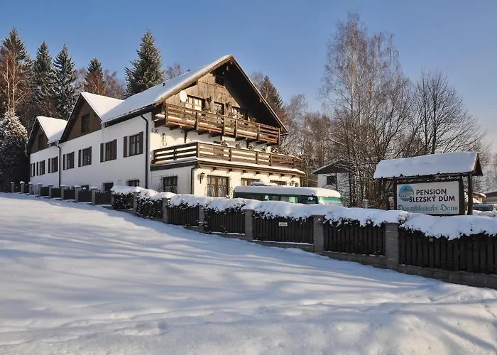 Slezsky Dum 4* Jeseník